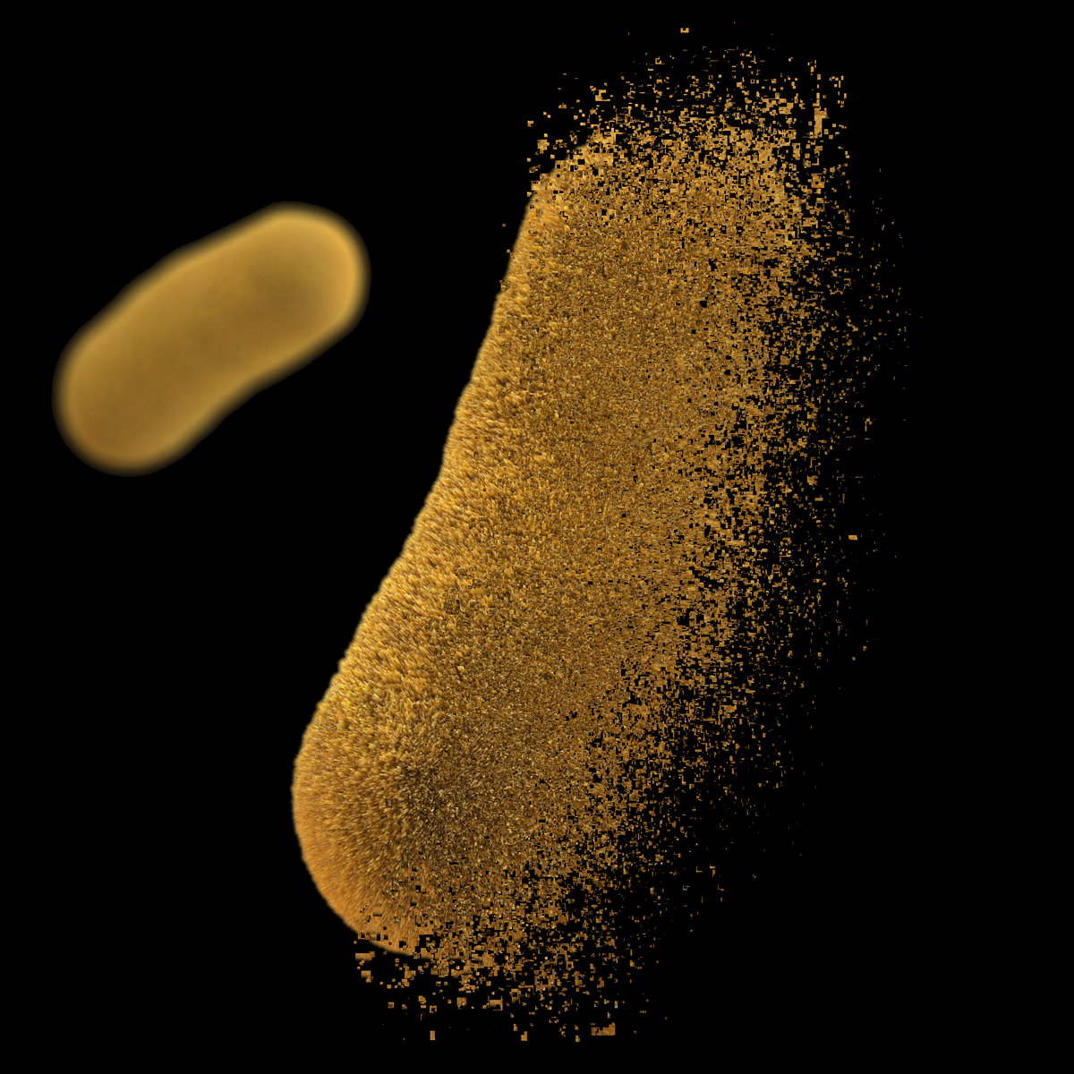 Cell-Free Protein Expression