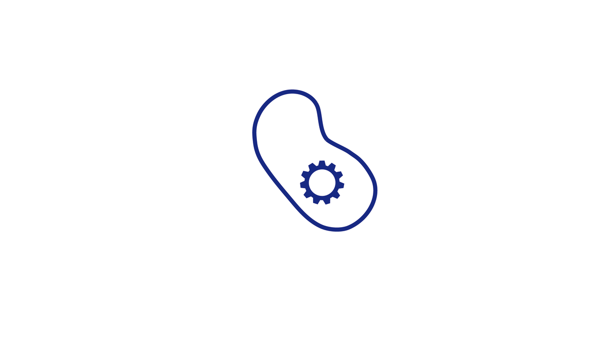 Expression Plasmids