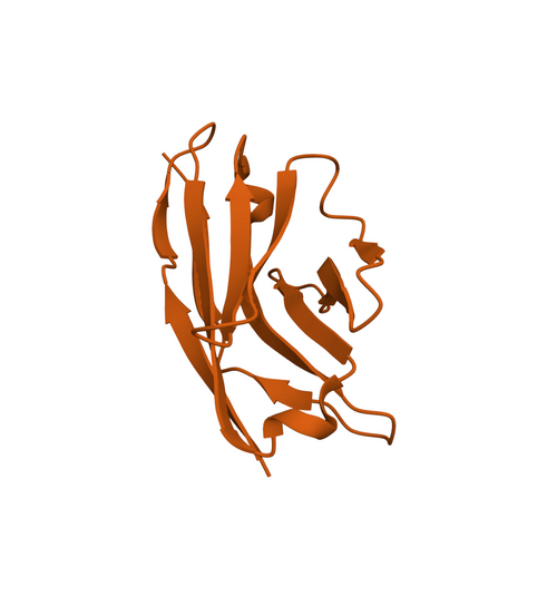 Nanobody Expression Kit