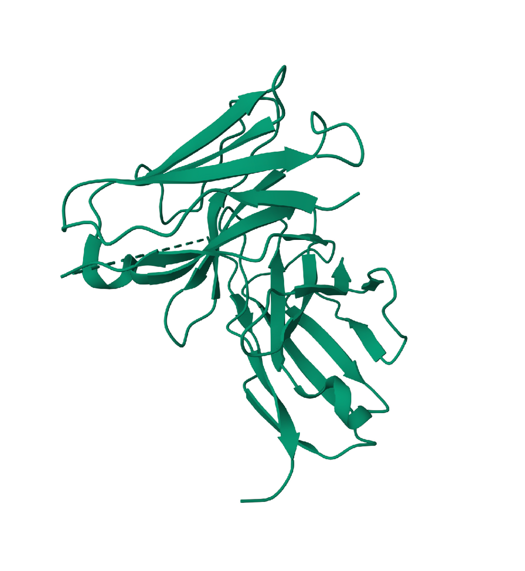 scFv Expression Kit