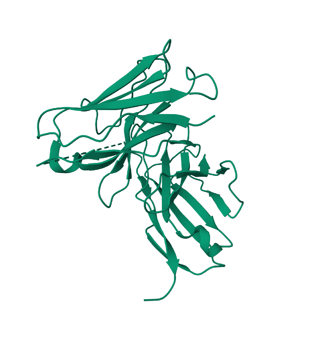 scFv Expression Kit